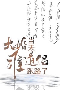 《大婚当天准道侣跑路了》