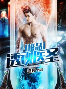 《极品透视医圣》