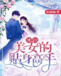 《冰山美女的贴身高手》