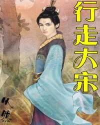 《行走大宋》