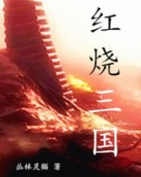 《红烧三国》