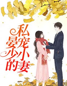 《晏少的私宠小妻》