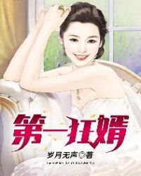 《第一狂婿》