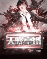 《天降豪婿》