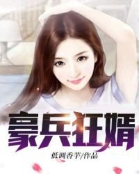 《豪兵狂婿》