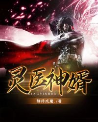 《灵医神婿》