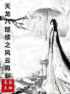 《天龙八部续之风云再起》