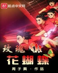 《玫瑰花蝴蝶》