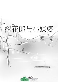 《探花郎与小媒婆》