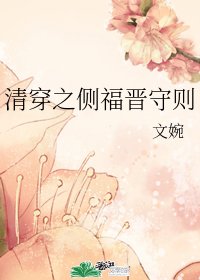 （BG/清穿同人）清穿之侧福晋守则
