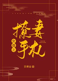 《撩妻手札(女尊)》