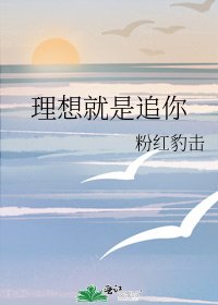 《理想就是追你》