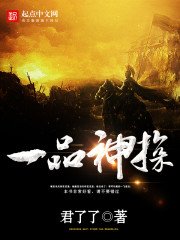 《一品神探》