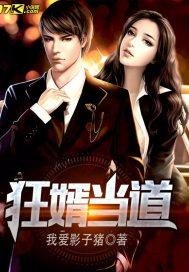 《狂婿当道》