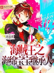 《海贼王之海绵宝宝继承人》