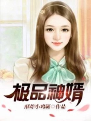 《极品神婿》