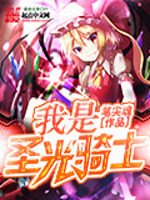 《我是圣光骑士》
