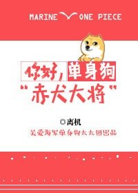 《(BG/海贼王同人)你好,单身狗赤犬大将》