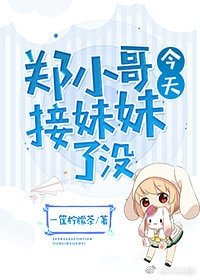 （BG/全职高手同人）郑小哥今天接妹妹了没？