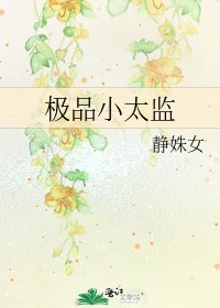 极品小太监