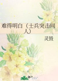 《难得明白(士兵突击同人)》