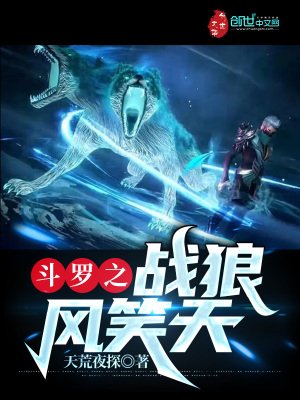 《斗罗之战狼风笑天》