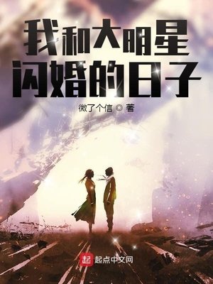 《我和大明星闪婚的日子》