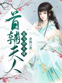 《首辅夫人是马甲大佬》