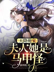 《天降萌宝:夫人她是马甲怪》