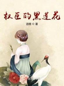 《权臣的黑莲花》