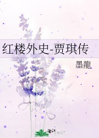 《红楼外史-贾琪传》