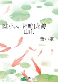 [陆小凤+神雕]龙游山庄
