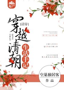 《穿越清朝生活手记(清穿)》