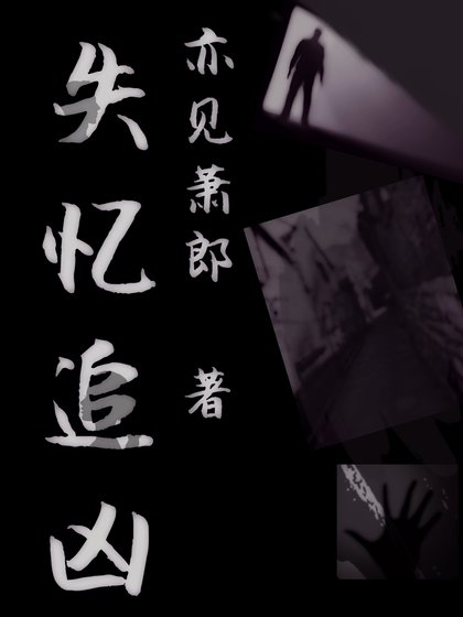 失忆追凶[探案]