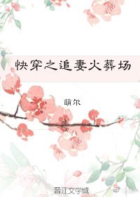 《快穿之追妻火葬场》