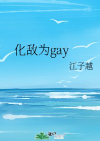 《化敌为gay》