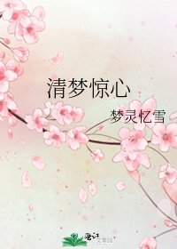 《清梦惊心》
