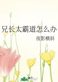 《兄长太霸道怎么办》