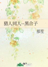 《猎人同人--黑合子》