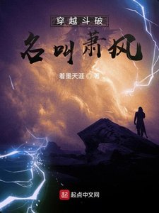 《穿越斗破名叫萧风》