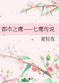都市之鹰——七鹰传说