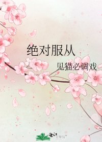 《绝对服从》