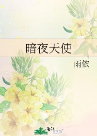 暗夜天使