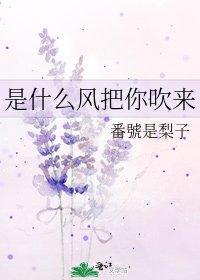 《是什么风把你吹来》