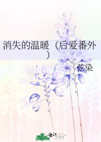 《消失的温暖(后爱番外)》