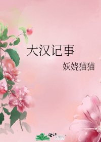 大汉记事