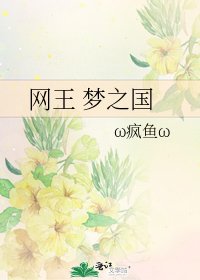 网王 梦之国