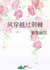 《风穿越过荆棘》