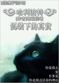 伪装下的真实