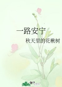 《一路安宁》